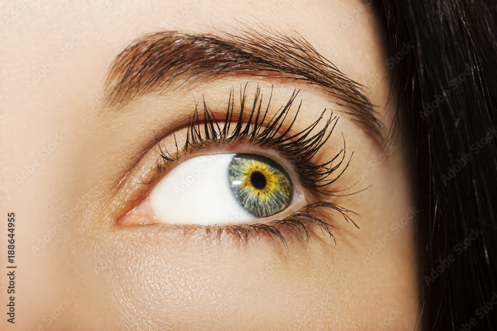 A beautiful insightful look woman's eye. Close up shot A beautiful insightful look woman's eye. Close up shot