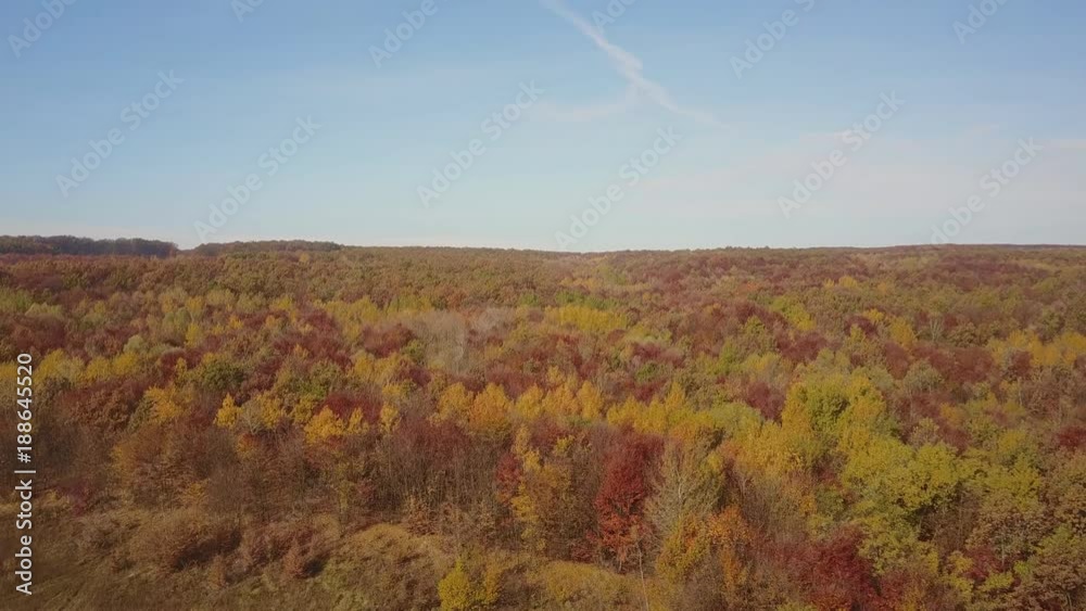 autumn forest removed from height autumn forest removed from height