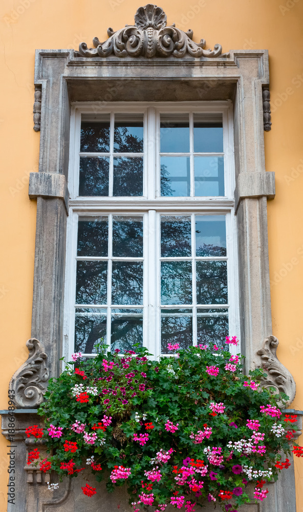 Old window with flowers