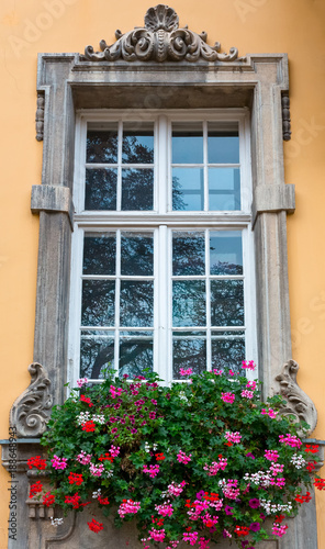 Old window with flowers © slava2271
