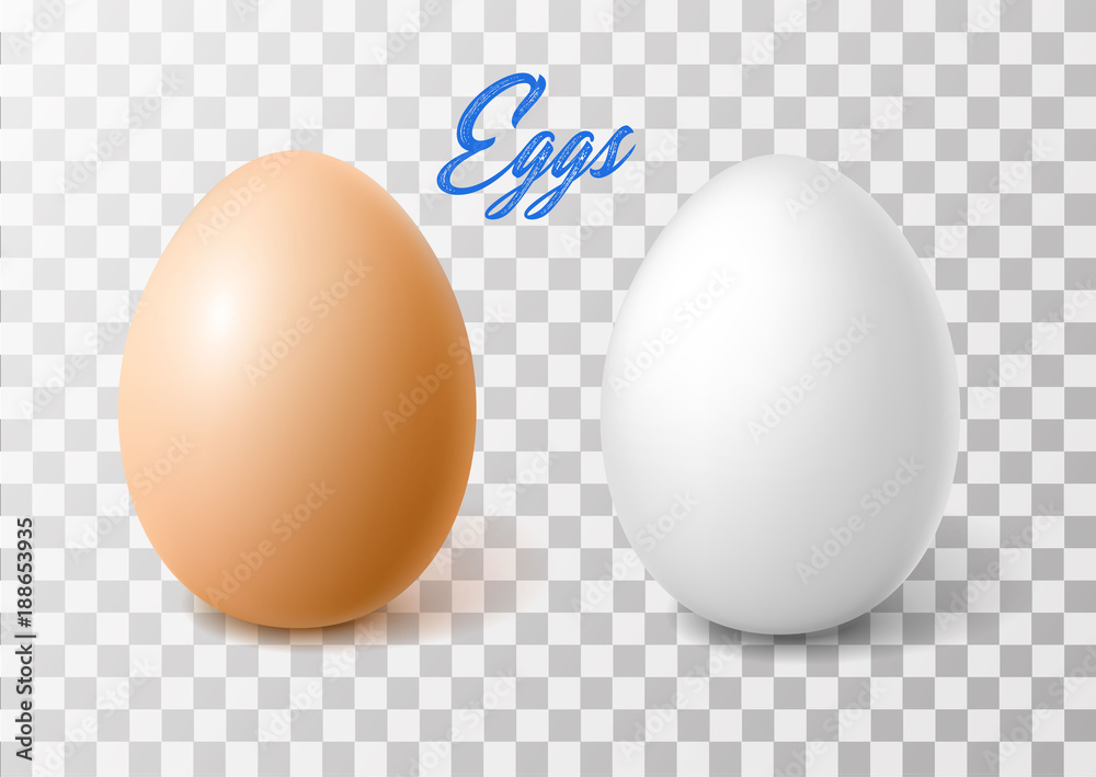 Obraz na płótnie Vector realistic chicken brown egg, easter spring