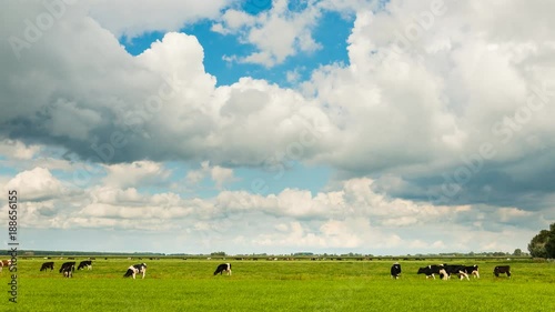 Time lapse of a Dutch meadow in Vreeland with moving gray and white clouds. photo