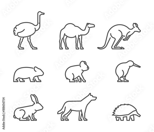 Fototapeta Naklejka Na Ścianę i Meble -  Vector set of linear Australian animals