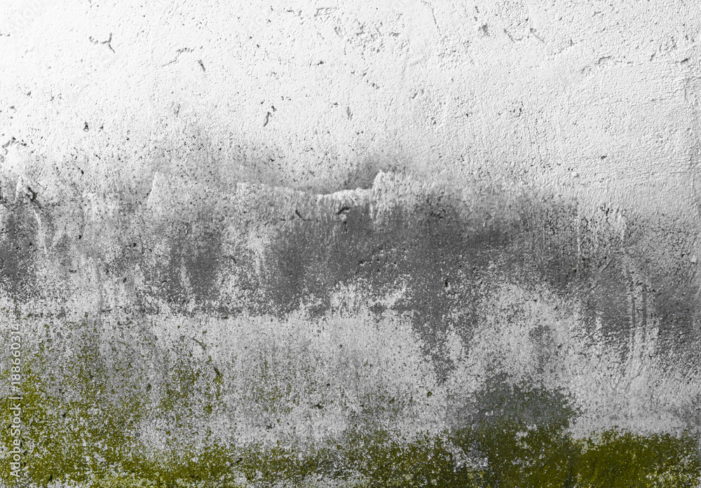 Fototapeta premium Old concrete wall with mold or fungus