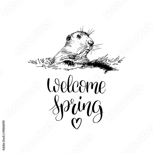 Vector Happy Groundhog Day sketched illustration with hand lettering. February 2 greeting card, poster etc