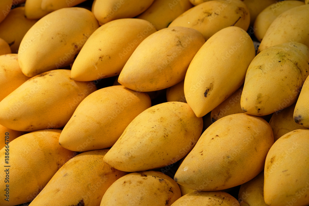Pile of sweet yellow ripe mangoes prepared for selling in market Pile of sweet yellow ripe mangoes prepared for selling in market