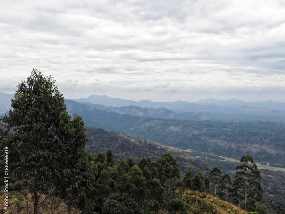 Province du Kerala Inde