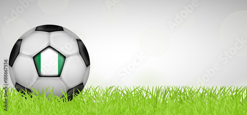 Fu  ballwiese - Fu  ball Nigeria