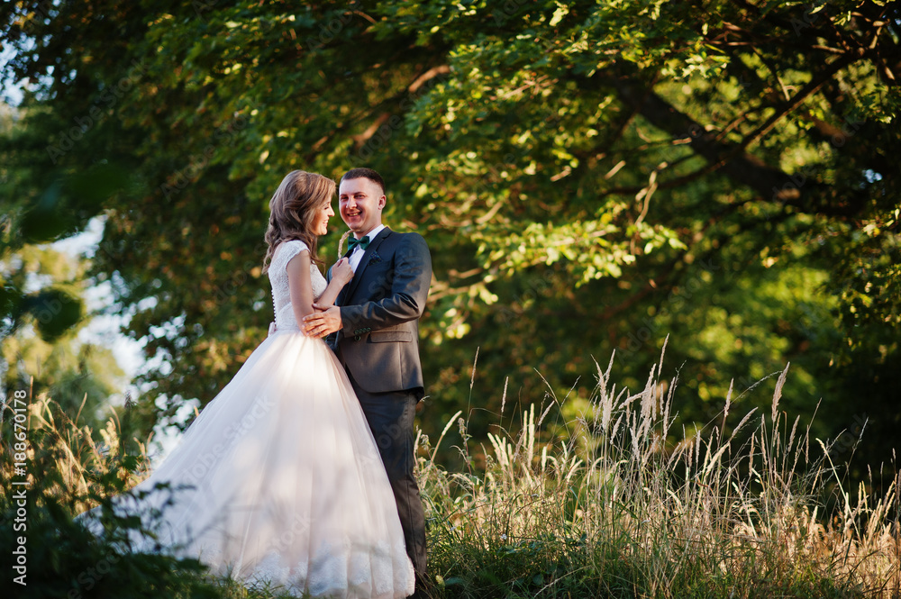 Newly married couple enjoying each other's company in the forest at sunset on their wedding day. Newly married couple enjoying each other's company in the forest at sunset on their wedding day.