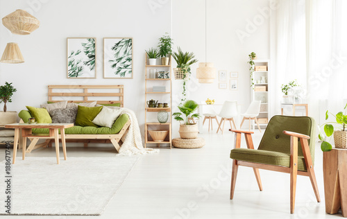 Green armchair in living room © Photographee.eu