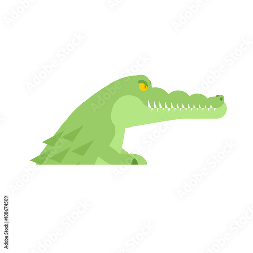 Crocodile head. Alligator muzzle isolated. Predator animal. Vector illustration