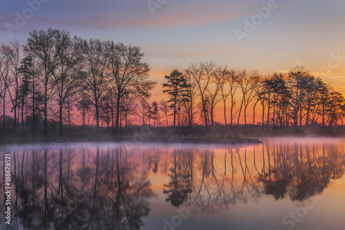 dramatic sunrise over lake with silhouette trees