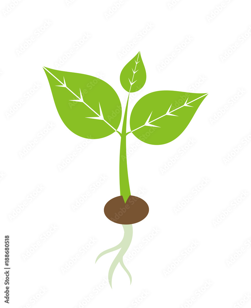 Spring plant seedling icon Spring plant seedling icon