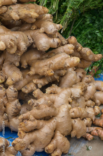 Fresh organic ginger in market in thailand