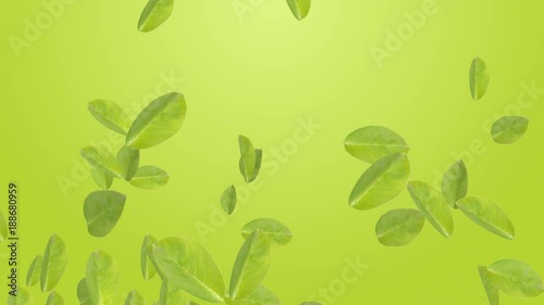Wallpaper Mural 4k Tea plant leaves autumn tree space particle design romance wind blowing art background. Torontodigital.ca