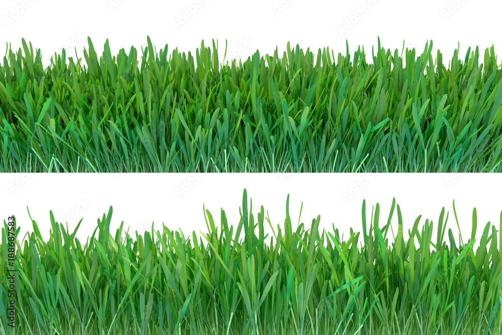 Fototapeta premium Green grass set. Nature background. Meadow. Spring, summer season. Plant growth 3d rendering