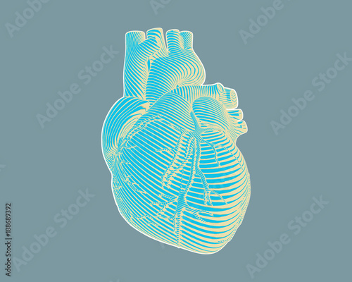 Engraving stylized heart drawing on gray BG