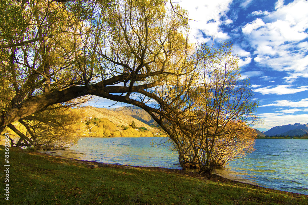 Autumn landscape scenery in Otago with lake Lake Hayes near village Arrowtown, road trip from Queenstown to Wanaka