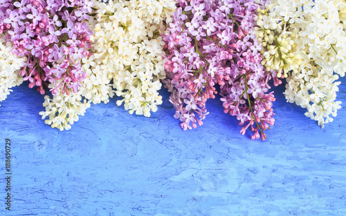 beautiful branch of lilac with pink and white flowers on a blue wooden table in spring