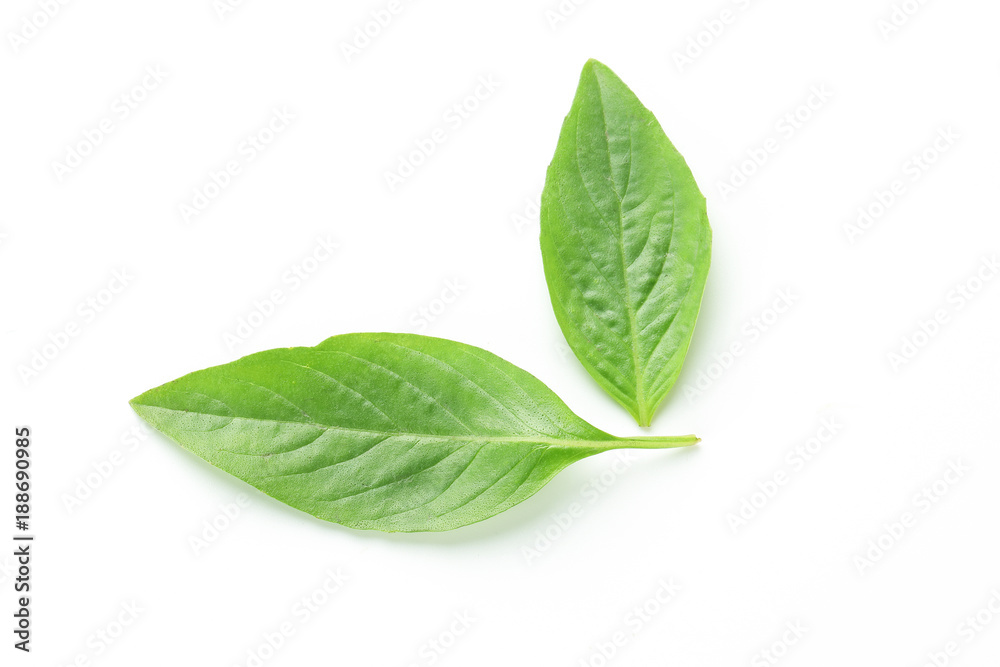 Asian Thai basil Asian Thai basil