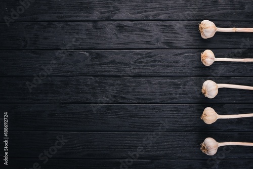 Garlic. A set of fresh garlic on the chest wooden background. Top view. Copy space.