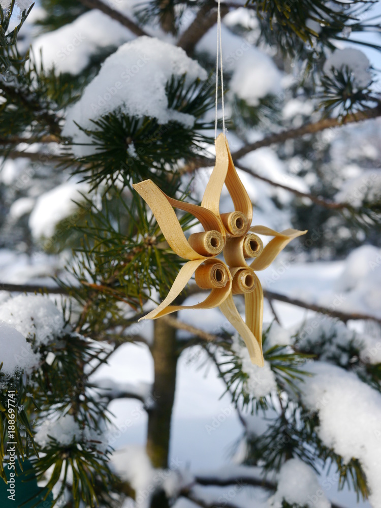 german christmas tree with homemade ornaments
german christmas tree with homemade ornaments