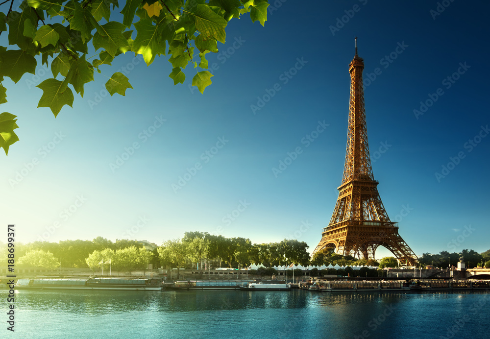 Fototapeta premium Wieża Eiffla w Paryżu. Francja