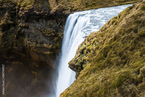 Skogafoss waterfall, Iceland. The gulls nest on cliffs and waterfalls