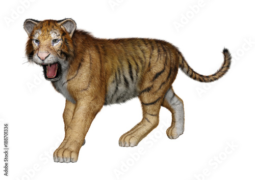 Fototapeta Naklejka Na Ścianę i Meble -  3D Rendering Big Cat Tiger on White