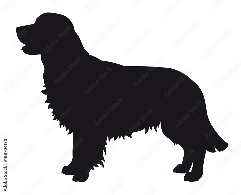 Golden Retriever - Vector black dog silhouette isolated vector de Stock |  Adobe Stock