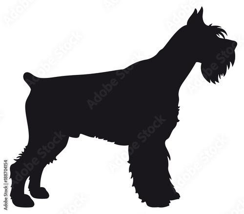 Giant Schnauzer - Vector black dog silhouette isolated photo