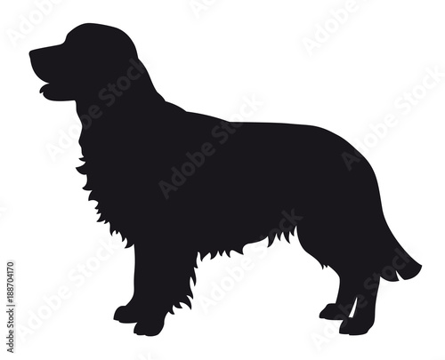Golden Retriever - Vector black dog silhouette isolated