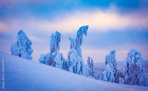 Heavy snow landsscape from Vuokatti ski resort. Sotkamo, Finland. photo