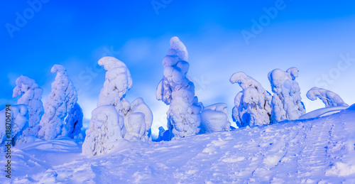 Heavy snow landsscape from Vuokatti ski resort. Sotkamo, Finland. photo