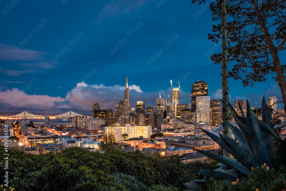 San Francisco from Ina Coolbrith Park