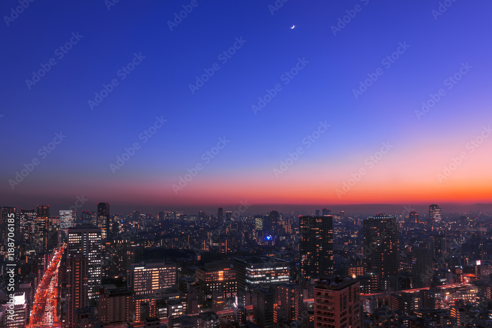 Fototapeta premium Nocne niebo w Tokio