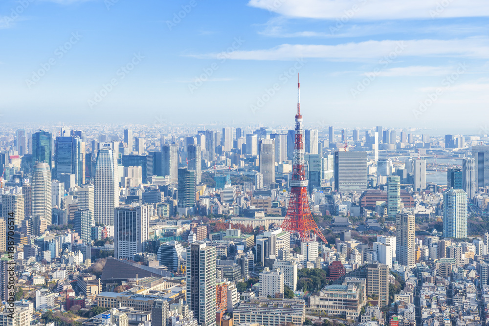 Naklejka premium Tokyo Tower i pejzaż miasta