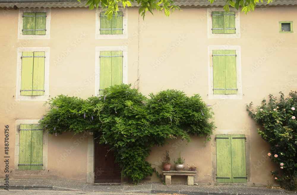 Beautiful warm brown country facade with green shutters and exterior foliage part covering doorway, village in the South of France