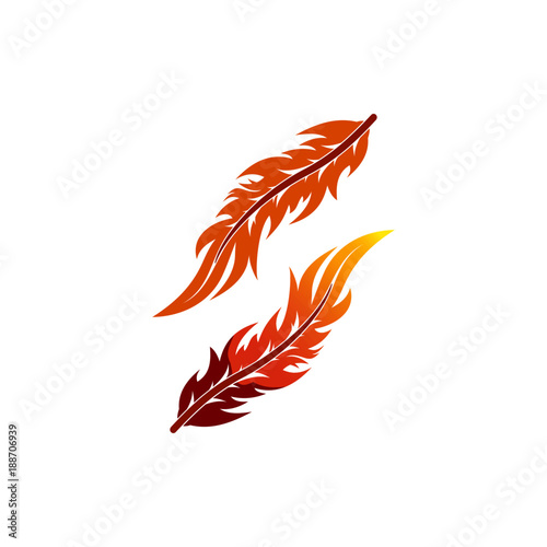 vector of quill