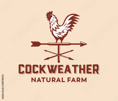 vector design of badge, logo cock weather, rooster wind direction, farm, poultry, in vintage rustic style