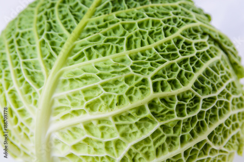 Close-up view of the crumpled structure of a green cabbage leaf.