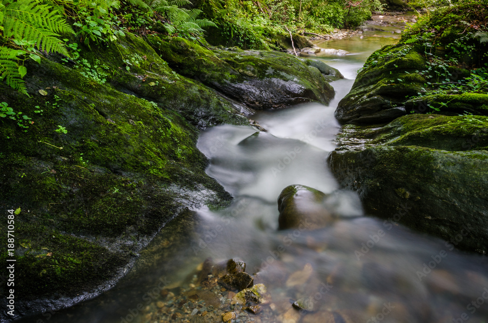 Long exposure of a small mountain creek that winds through the mossy cliffs and ferns
