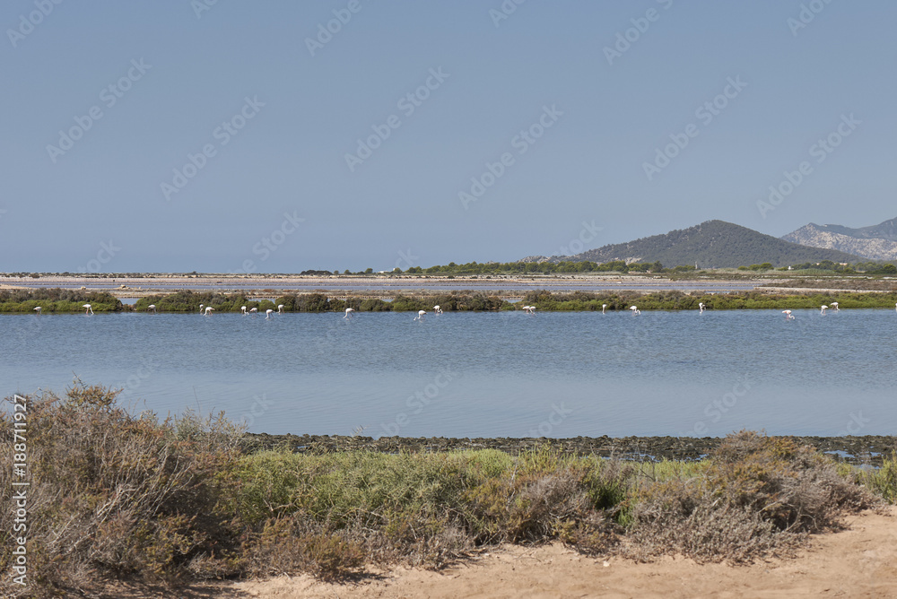 Ibiza, view of las salinas natural park Ibiza, view of las salinas natural park