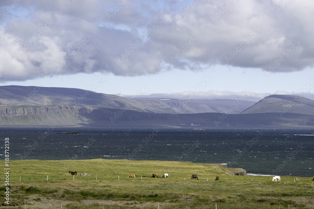 Icelandic Landscape