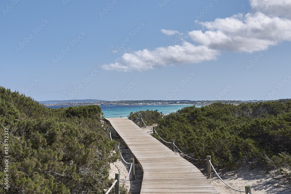 Wildlife reserve in Formentera island 