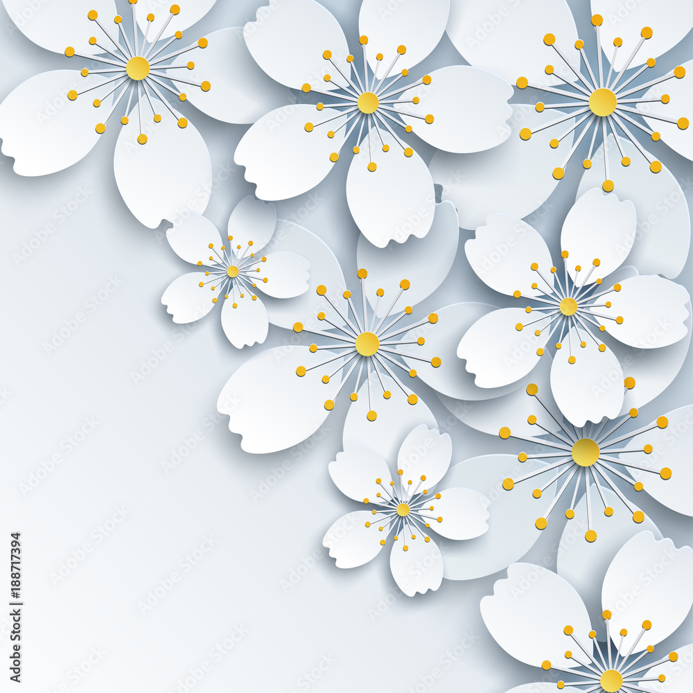 Fototapeta Jasne tło z białymi kwiatami sakura