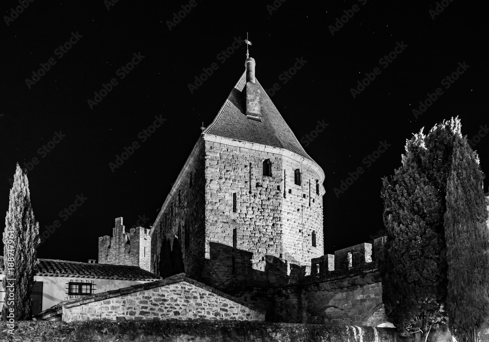 Carcassonne medieval fortress night view, old walls and towers highlighted