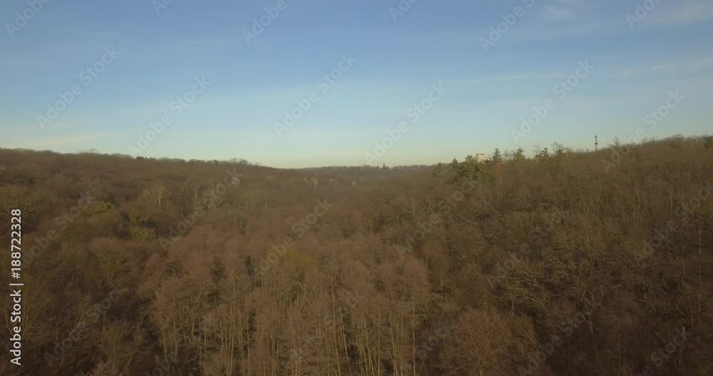 Landscape. Aerial Tree Without Foliage.Autumn Forest Aerial Flying Low On Ground.Trees Woods Without Leaves From Drone.Sun Rays Through Trees.Sunlight Through Tree In Fall Wood. Landscape. Aerial Tree Without Foliage.Autumn Forest Aerial Flying Low On Ground.Trees Woods Without Leaves From Drone.Sun Rays Through Trees.Sunlight Through Tree In Fall Wood.