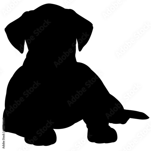 Boxer Dog Silhouette Vector Graphics