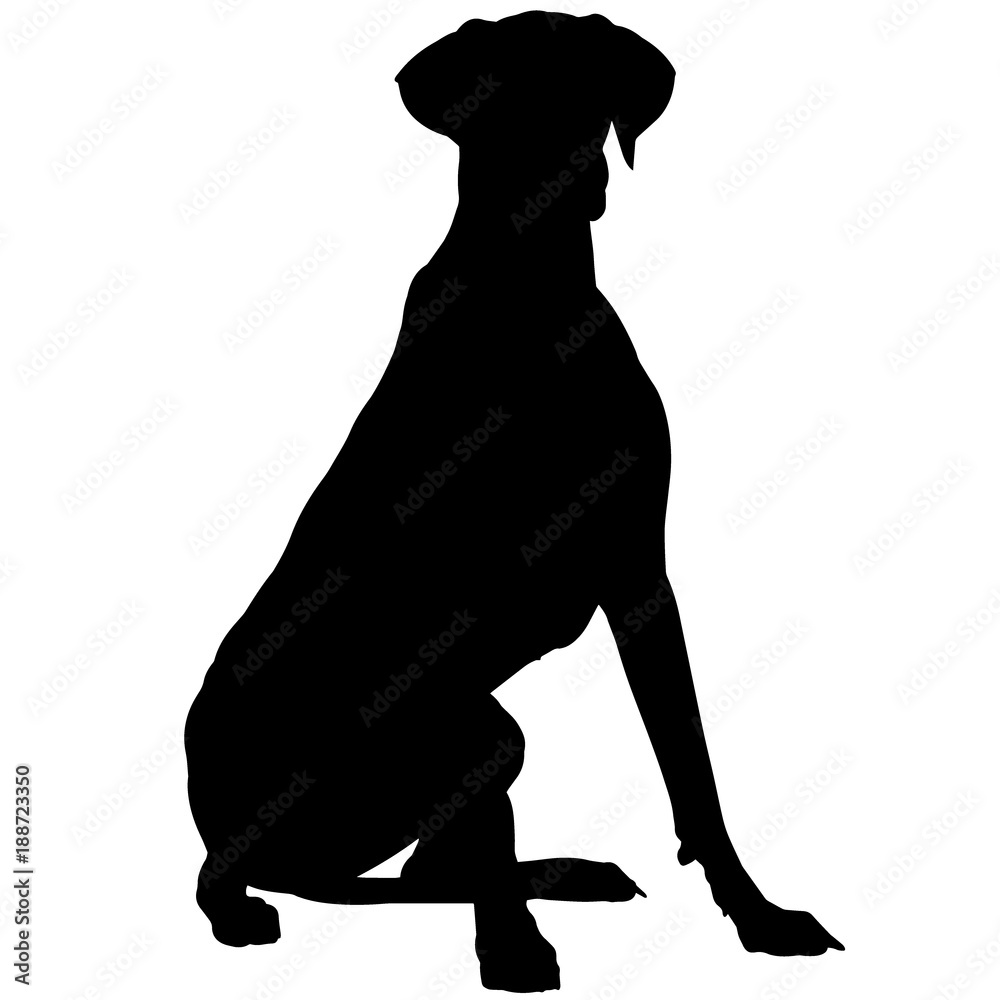 Great Dane Dog Silhouette Vector Graphics Stock Vector | Adobe Stock